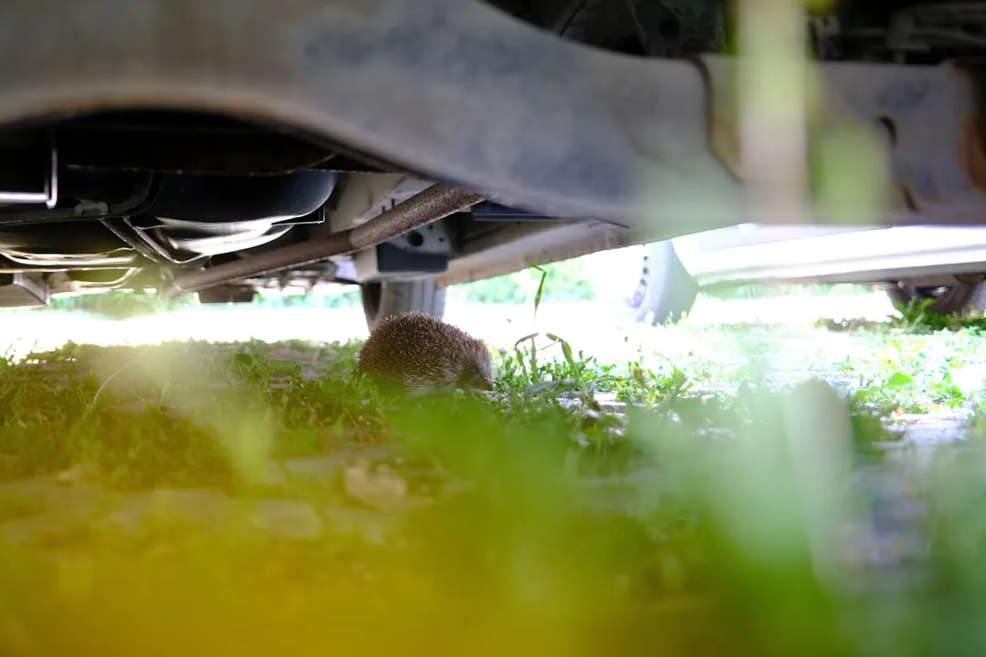 新车选购指南:大车车平台核心服务内容与适用购车场景详解正文配图 2