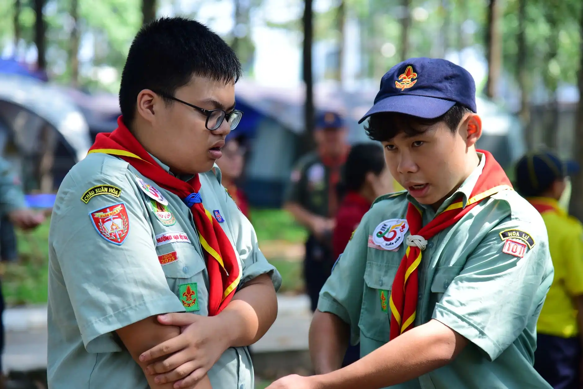 新能源汽车保险费用上涨原因分析与车主应对策略探讨正文配图 1