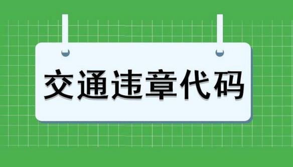 16380是什么交通违章代码