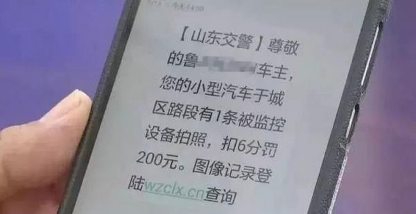 违章信息一般多久能查到